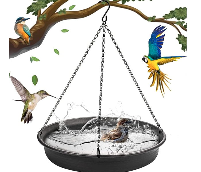 Bird Bath