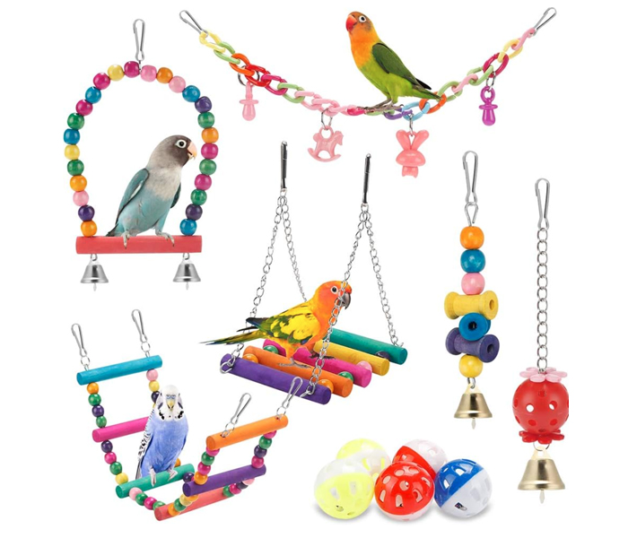 Bird Toys and Swings