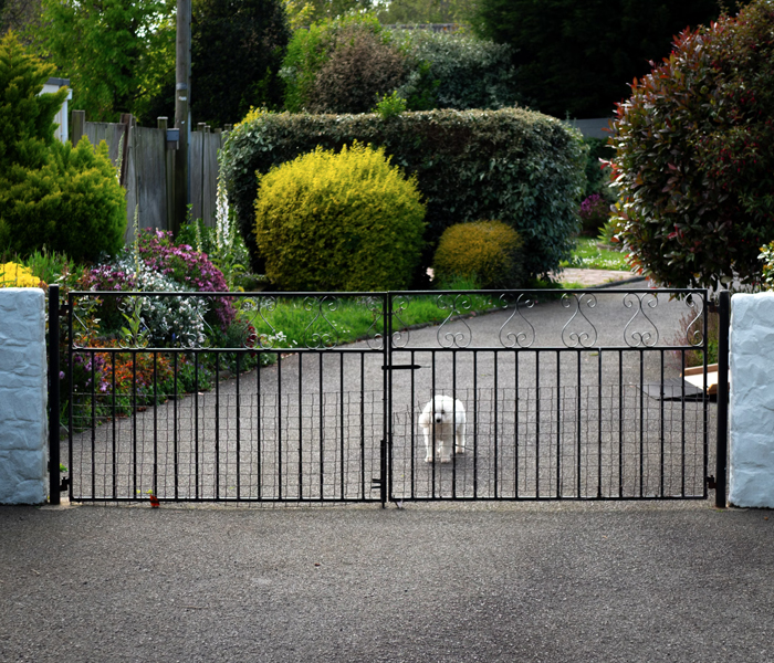 How to Create a Pet-Friendly Backyard