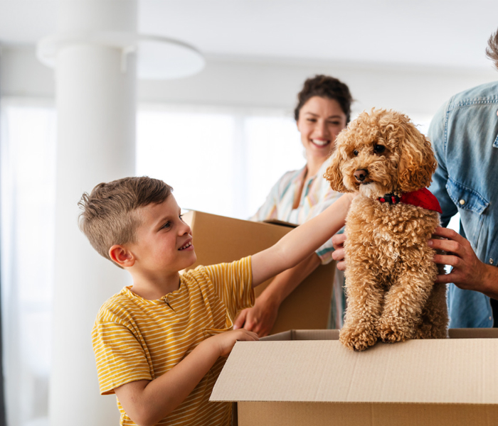 How to Prepare Your Home for a New Pet