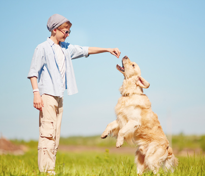 Positive Reinforcement Training Techniques